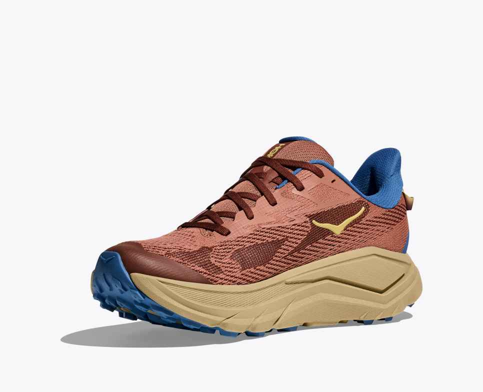 Heren Hoka Challenger 8 Trail & Road Hardloopschoenen
